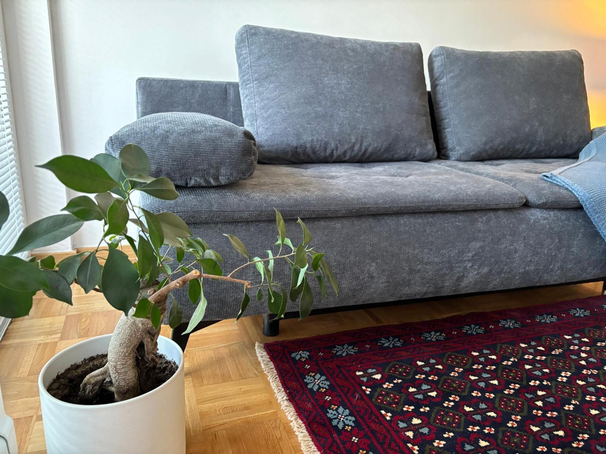 Ljubljanica Apartment Ljubljana Buitenkant foto